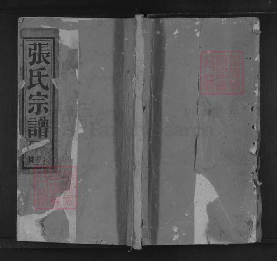 江西省抚州市南城县建昌镇张氏三星堂族谱-张氏宗谱.pdf电子版缩略图