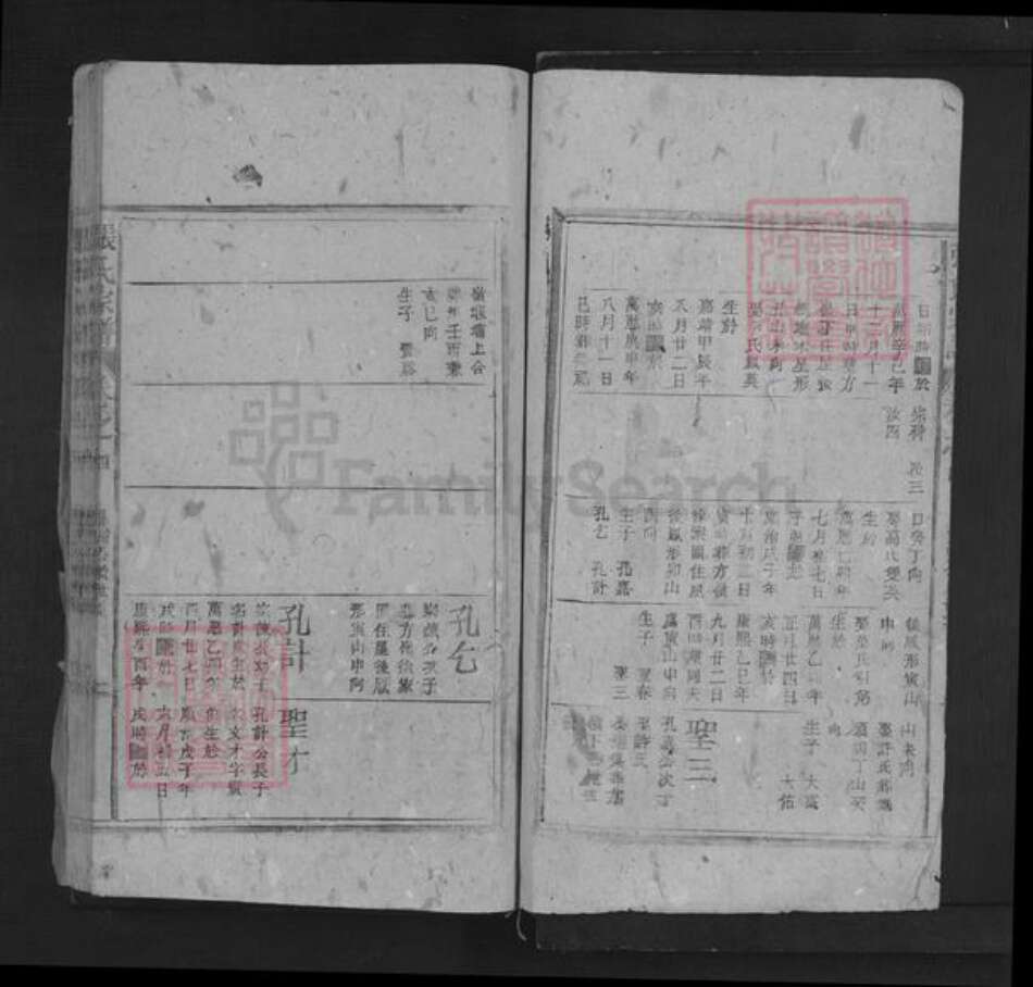 江西省抚州市南城县建昌镇张氏三星堂族谱-张氏宗谱.pdf电子版预览图2