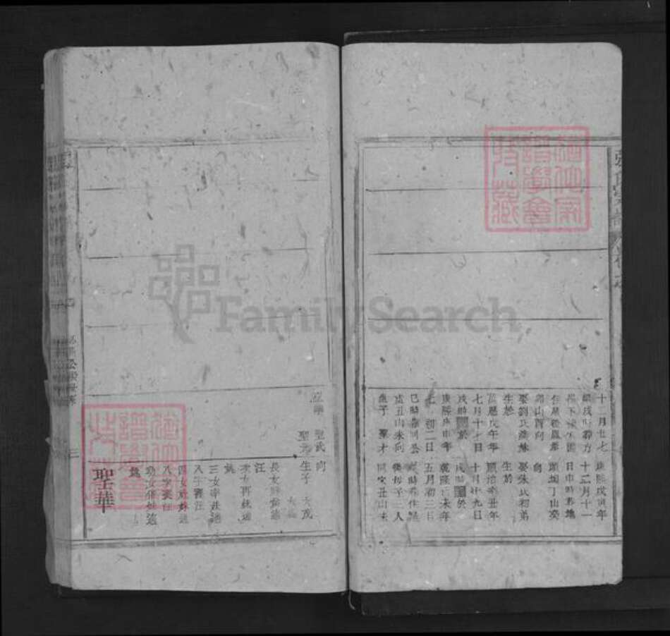 江西省抚州市南城县建昌镇张氏三星堂族谱-张氏宗谱.pdf电子版预览图3