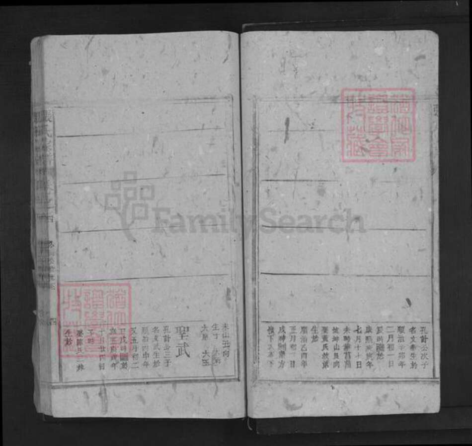 江西省抚州市南城县建昌镇张氏三星堂族谱-张氏宗谱.pdf电子版预览图4