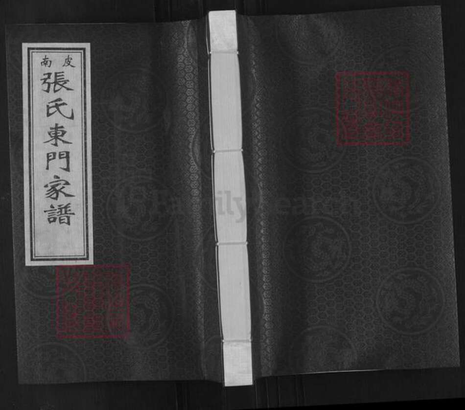 河北省沧州南皮县张氏永思堂族谱-南皮张氏东门家谱.pdf电子版缩略图