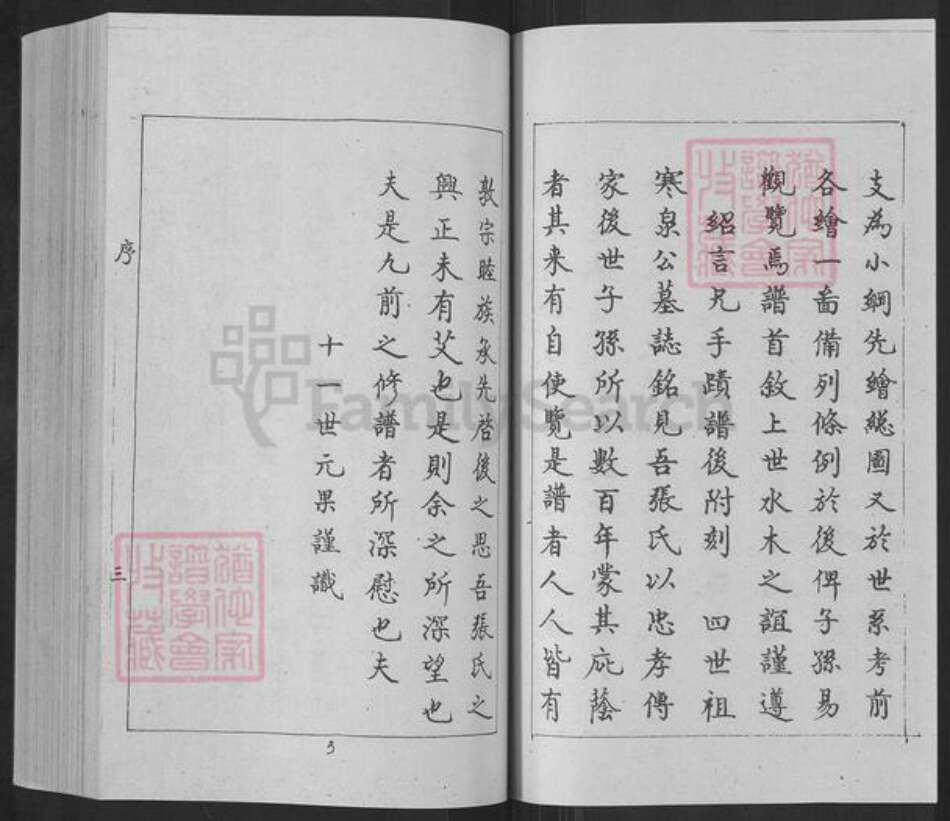 河北省沧州南皮县张氏永思堂族谱-南皮张氏东门家谱.pdf电子版预览图4