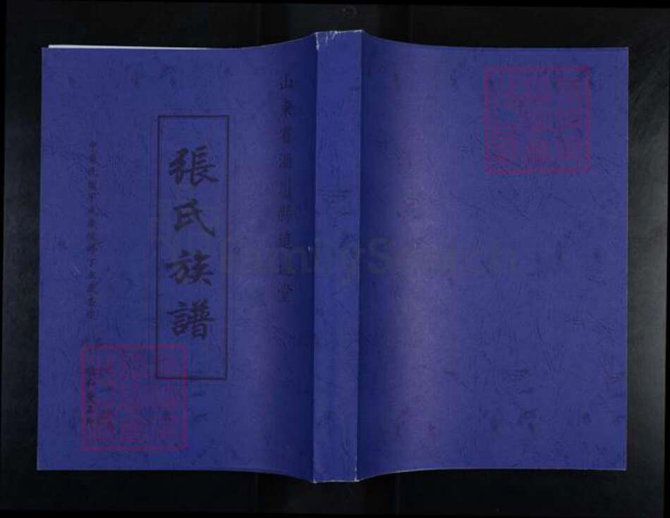 山东省淄博市淄川区张氏追远堂族谱-张氏族谱.pdf电子版缩略图