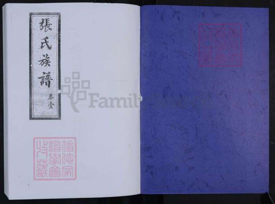 山东省淄博市淄川区张氏追远堂族谱-张氏族谱.pdf电子版预览图1