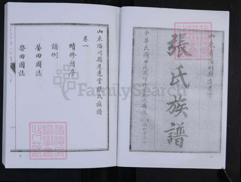 山东省淄博市淄川区张氏追远堂族谱-张氏族谱.pdf电子版预览图3