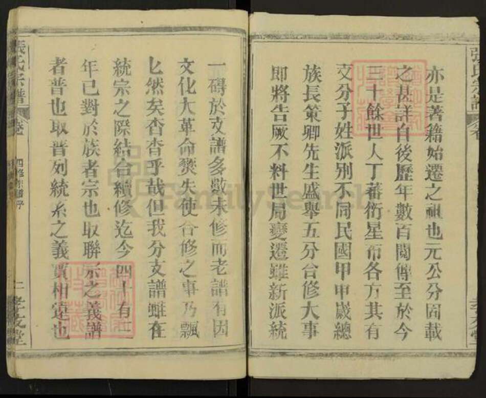 湖北省黄冈市麻城市龟山镇张氏孝友堂族谱-张氏族谱.pdf电子版预览图2