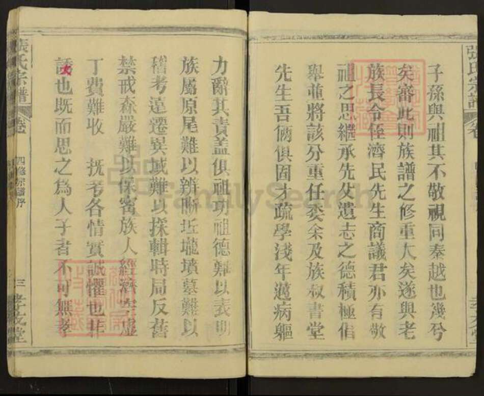 湖北省黄冈市麻城市龟山镇张氏孝友堂族谱-张氏族谱.pdf电子版预览图3