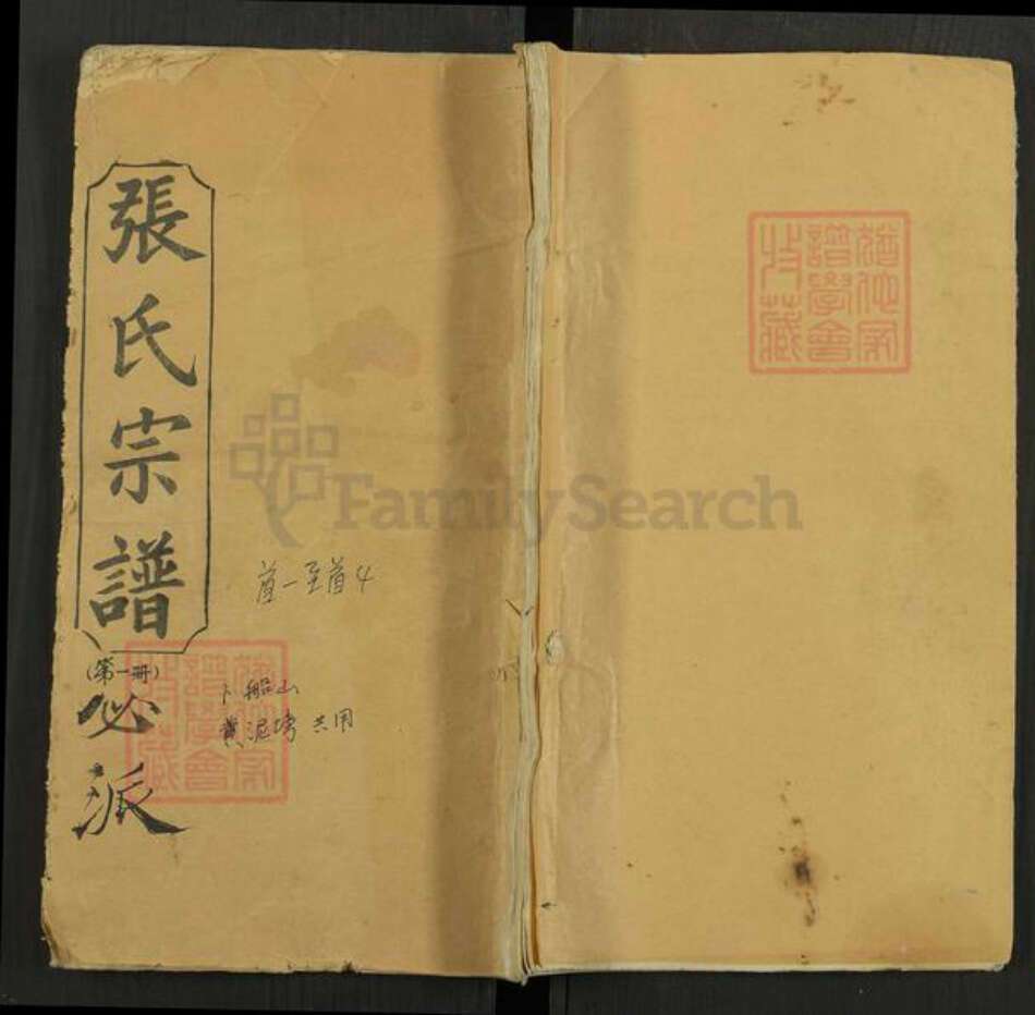 湖北省黄冈市罗田县平湖乡张氏选青堂族谱-张氏宗谱.pdf电子版缩略图