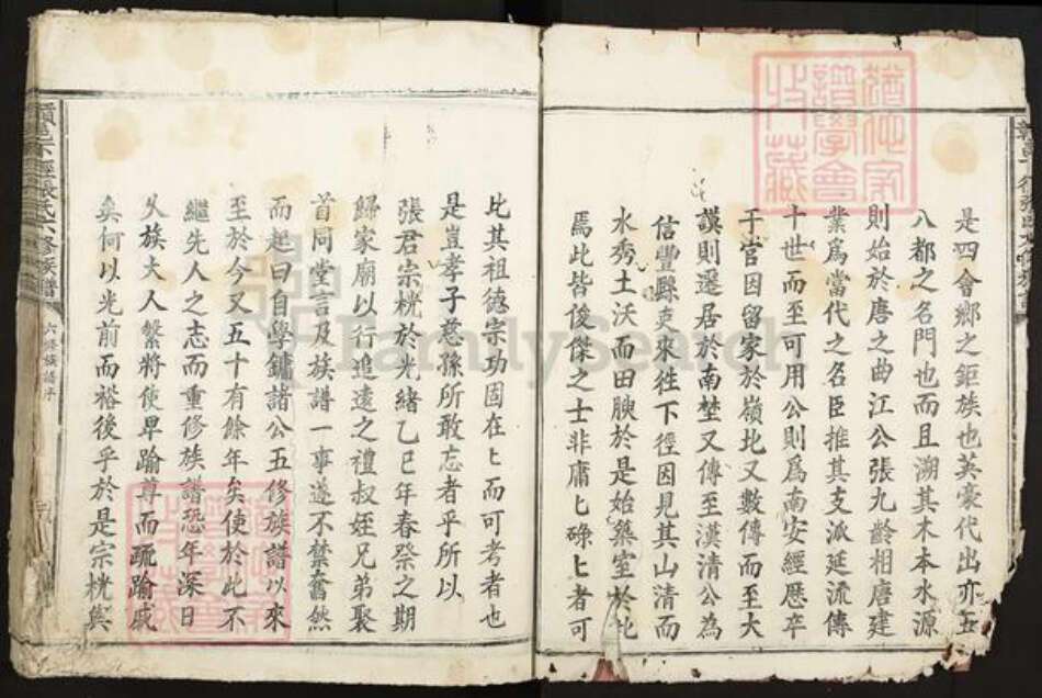 江西省赣州市信丰县张氏族谱-赣邑下径张氏六修族谱.pdf电子版预览图3