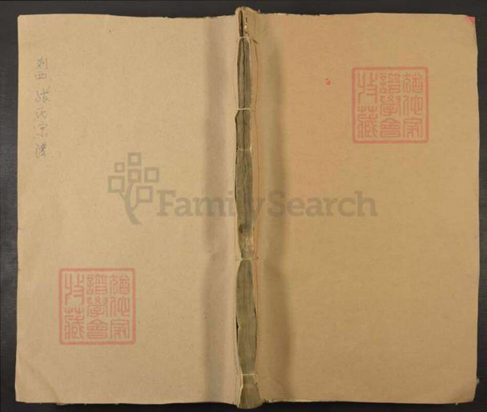 浙江省绍兴嵊州市谷来镇张氏永思堂族谱-剡西张村张氏宗谱.pdf电子版缩略图