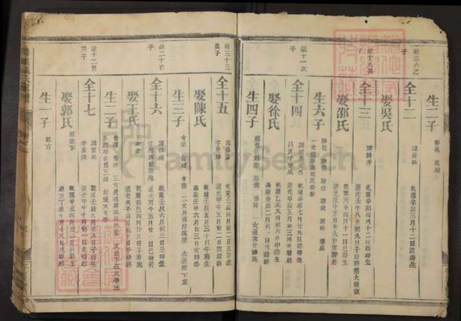 浙江省金华市浦江县大畈乡张氏存善堂族谱-清溪张氏家谱.pdf电子版预览图3