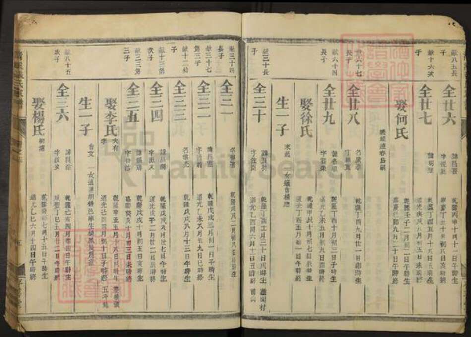 浙江省金华市浦江县大畈乡张氏存善堂族谱-清溪张氏家谱.pdf电子版预览图5