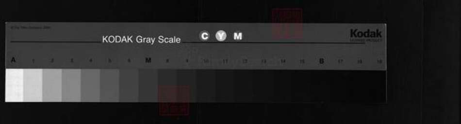 湖南省湘潭市湘潭县张氏族谱-湘乡张氏三修族谱[15卷,首7卷].pdf电子版缩略图