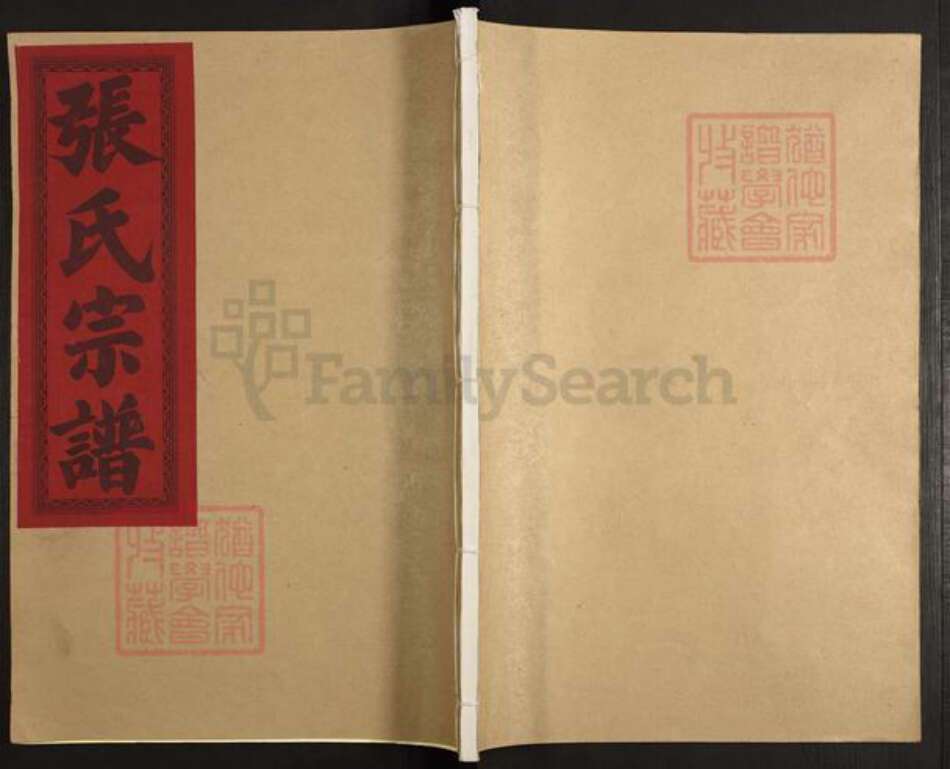 江西省上饶市张氏族谱-张氏族谱.pdf电子版缩略图