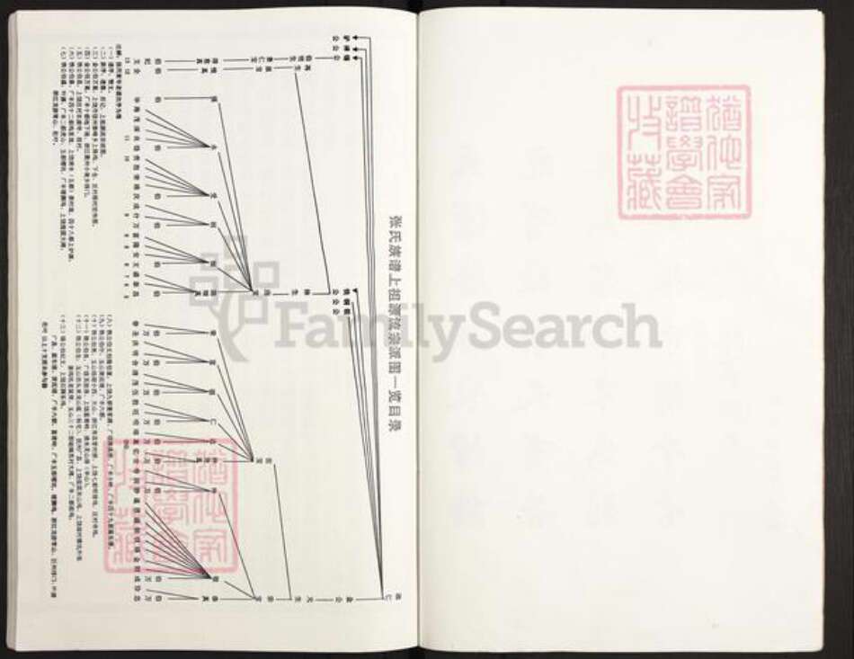 江西省上饶市张氏族谱-张氏族谱.pdf电子版预览图4