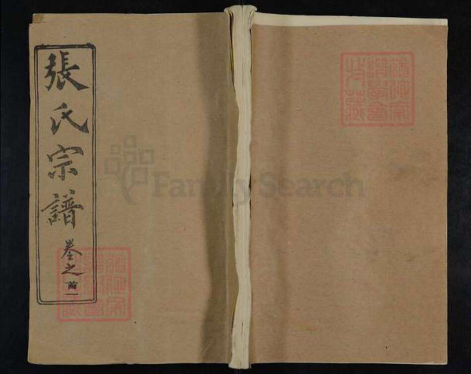 湖北省武汉市新洲区张氏敦本堂族谱-张氏宗谱.pdf电子版缩略图