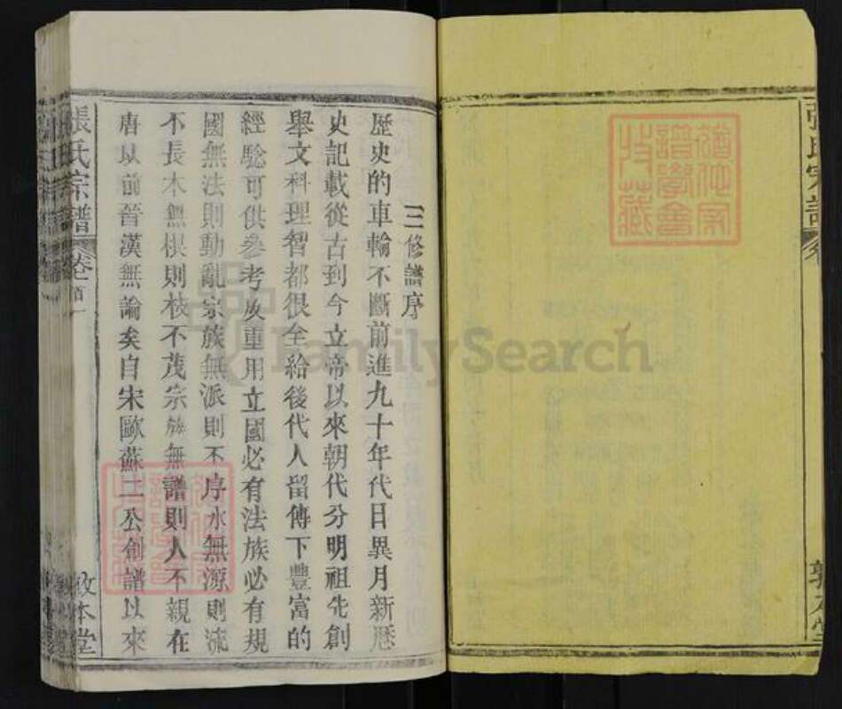 湖北省武汉市新洲区张氏敦本堂族谱-张氏宗谱.pdf电子版预览图2