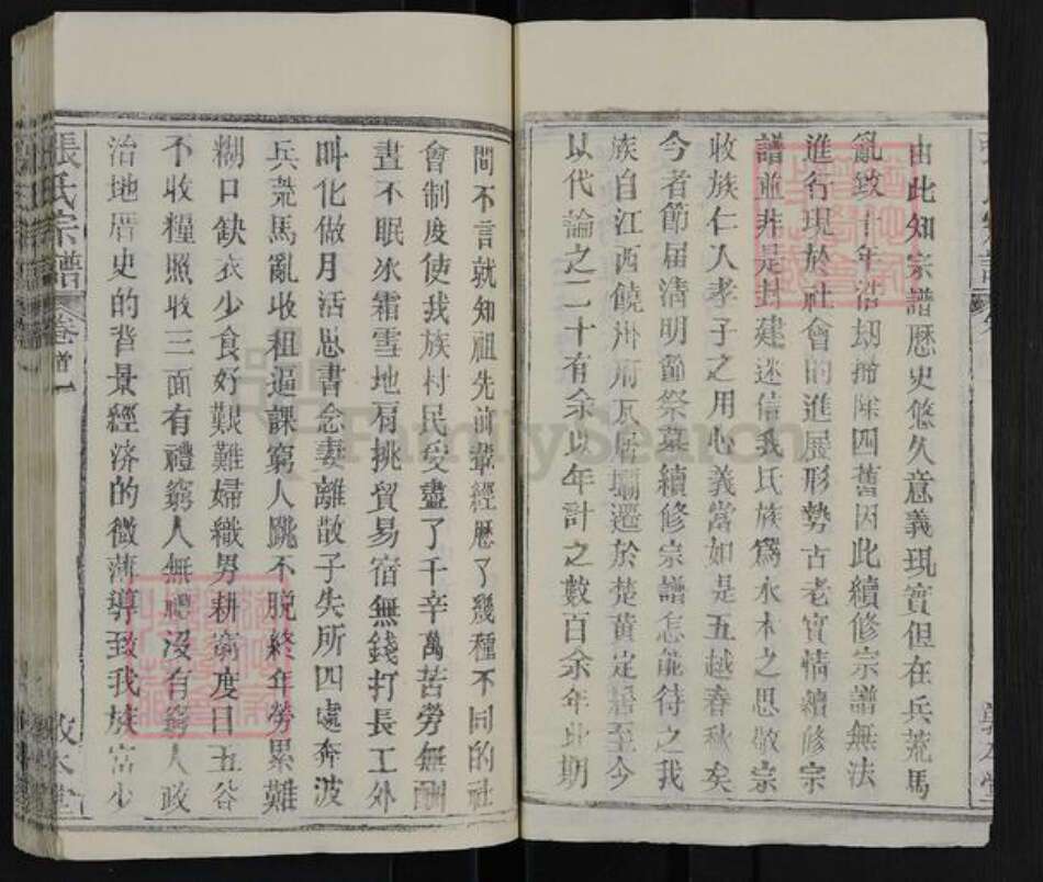 湖北省武汉市新洲区张氏敦本堂族谱-张氏宗谱.pdf电子版预览图3