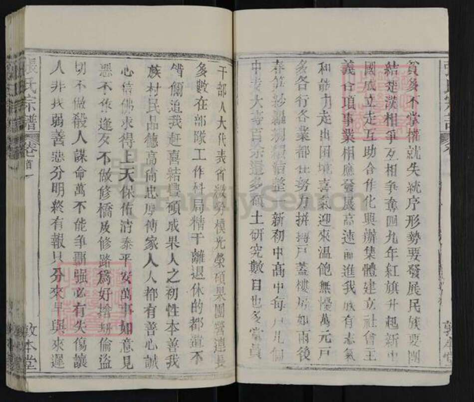 湖北省武汉市新洲区张氏敦本堂族谱-张氏宗谱.pdf电子版预览图4