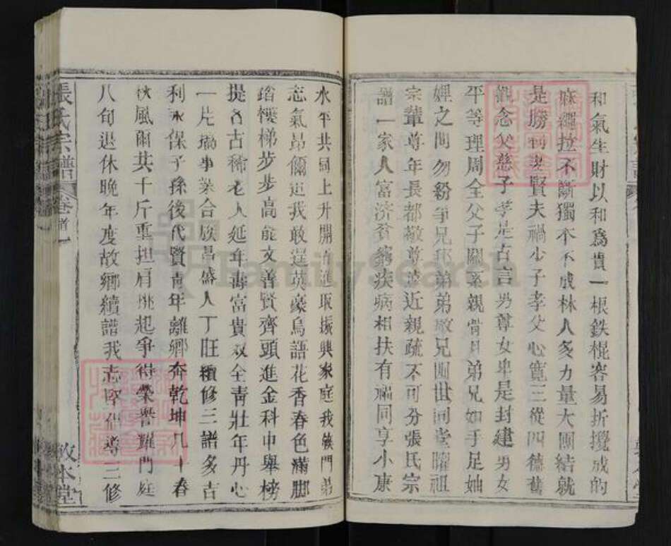 湖北省武汉市新洲区张氏敦本堂族谱-张氏宗谱.pdf电子版预览图5