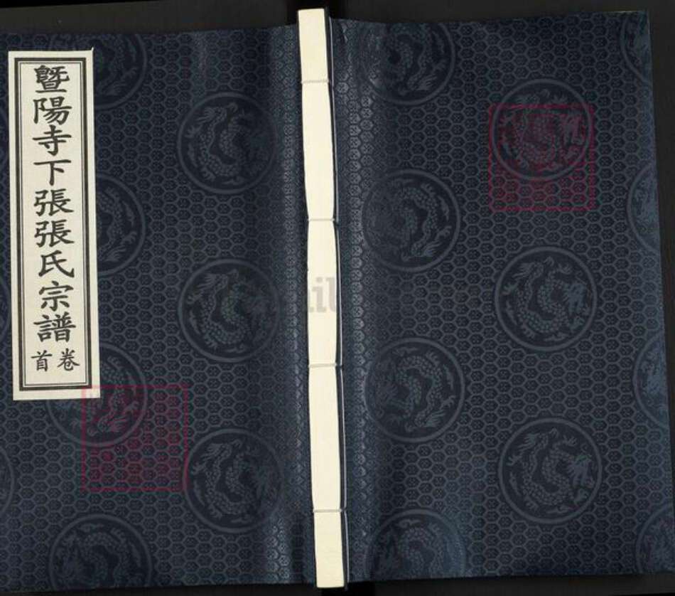 浙江省绍兴诸暨市牌头镇张氏芝泉堂族谱-暨阳寺下张张氏宗谱.pdf电子版缩略图