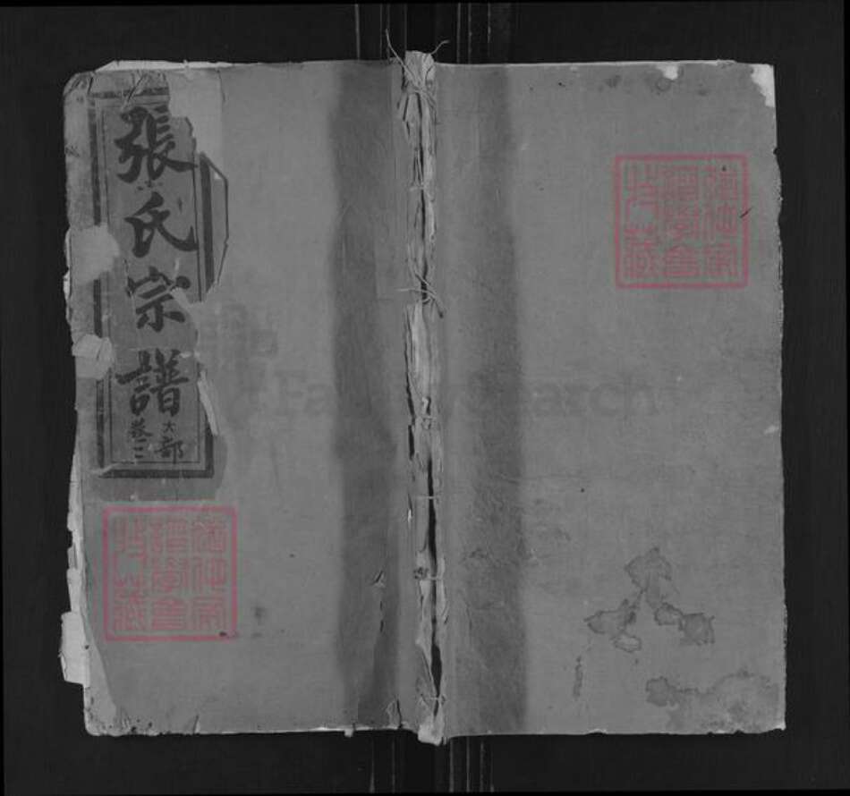 江西省上饶市广丰区五都镇张氏忠文堂族谱-丰溪张氏宗谱.pdf电子版缩略图