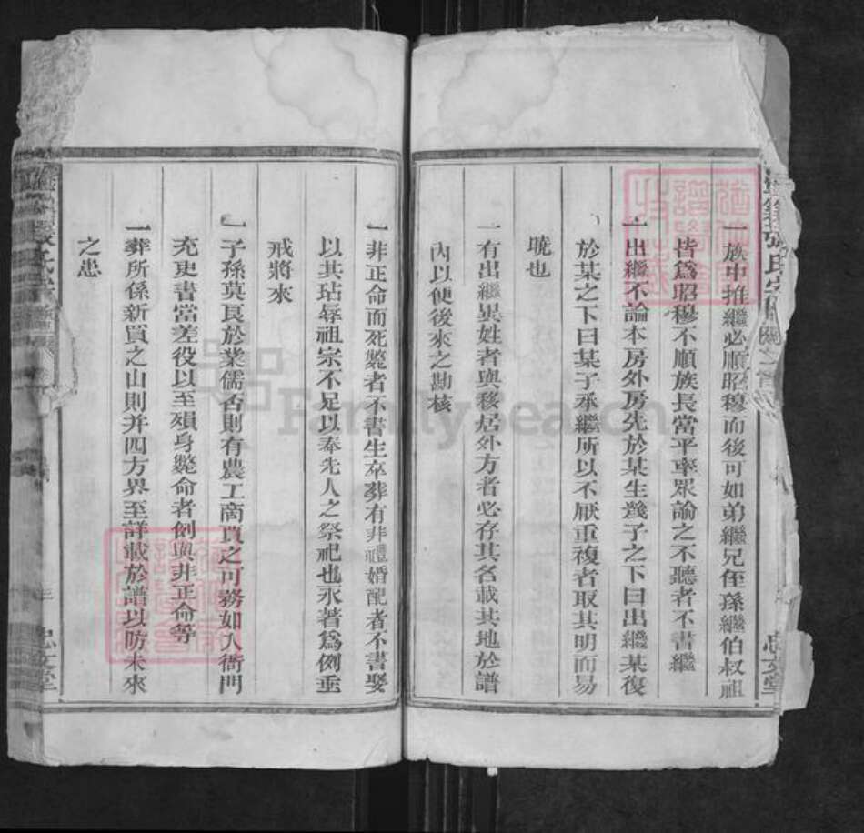 江西省上饶市广丰区五都镇张氏忠文堂族谱-丰溪张氏宗谱.pdf电子版预览图5