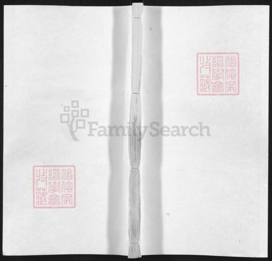 江西省上饶市玉山县临湖镇张氏族谱-张氏统宗世谱.pdf电子版缩略图