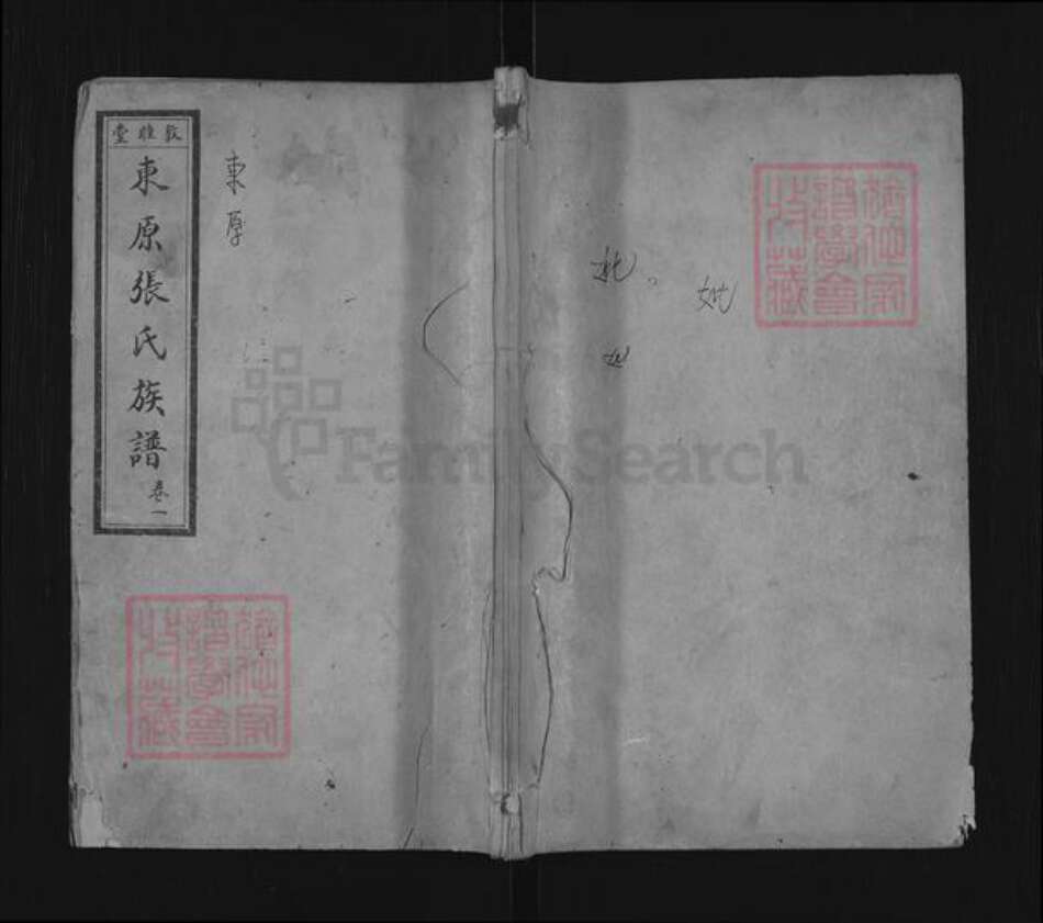 山东省泰安市东平县张氏敦睦堂族谱-敦睦堂东原张氏族谱.pdf电子版缩略图