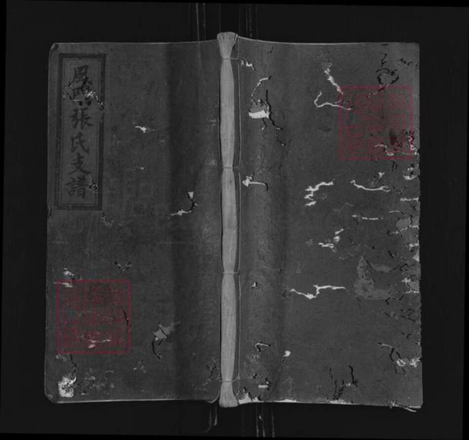 江西省宜春市万载县白水乡张氏孝友堂族谱-风门张氏支谱.pdf电子版缩略图