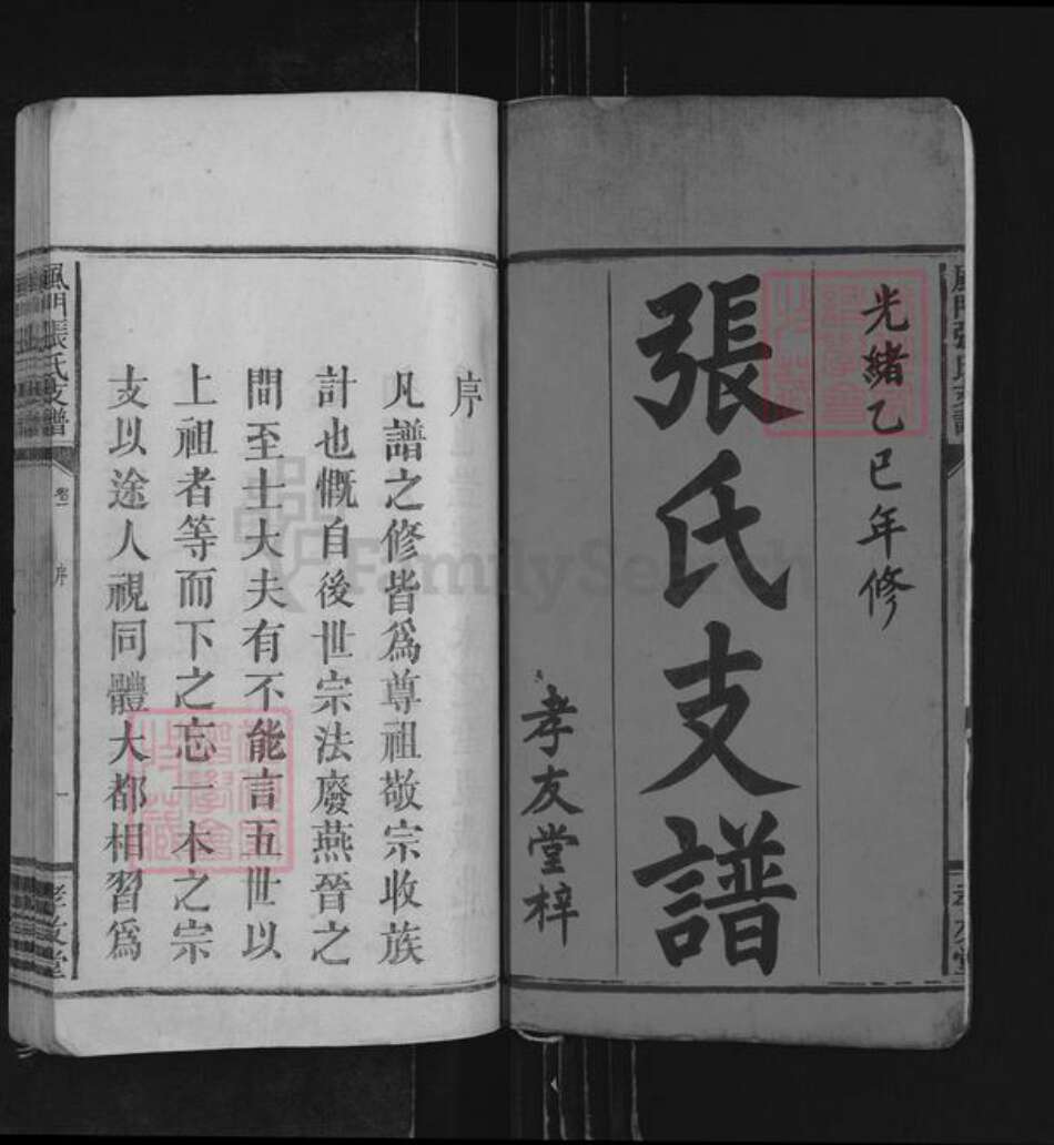 江西省宜春市万载县白水乡张氏孝友堂族谱-风门张氏支谱.pdf电子版预览图2