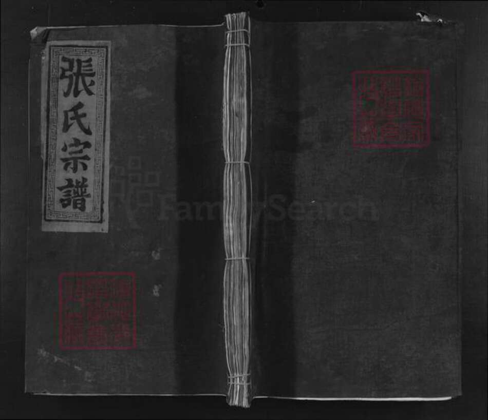 江西省九江市浔阳区张氏孝友堂族谱-张氏宗谱.pdf电子版缩略图