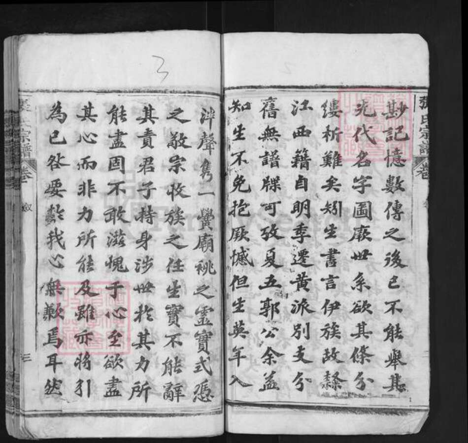 湖北省鄂州市华容区华容镇张氏金鉴堂族谱-张氏宗谱.pdf电子版预览图3