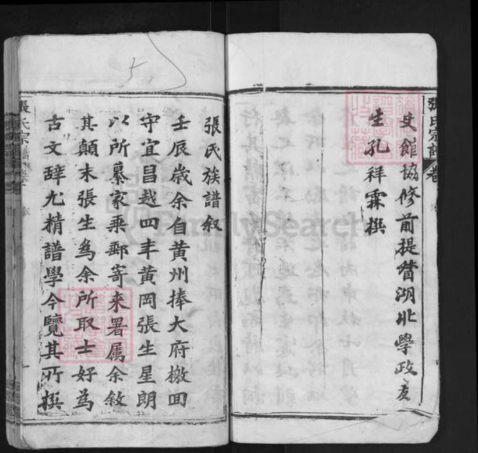 湖北省鄂州市华容区华容镇张氏金鉴堂族谱-张氏宗谱.pdf电子版预览图5