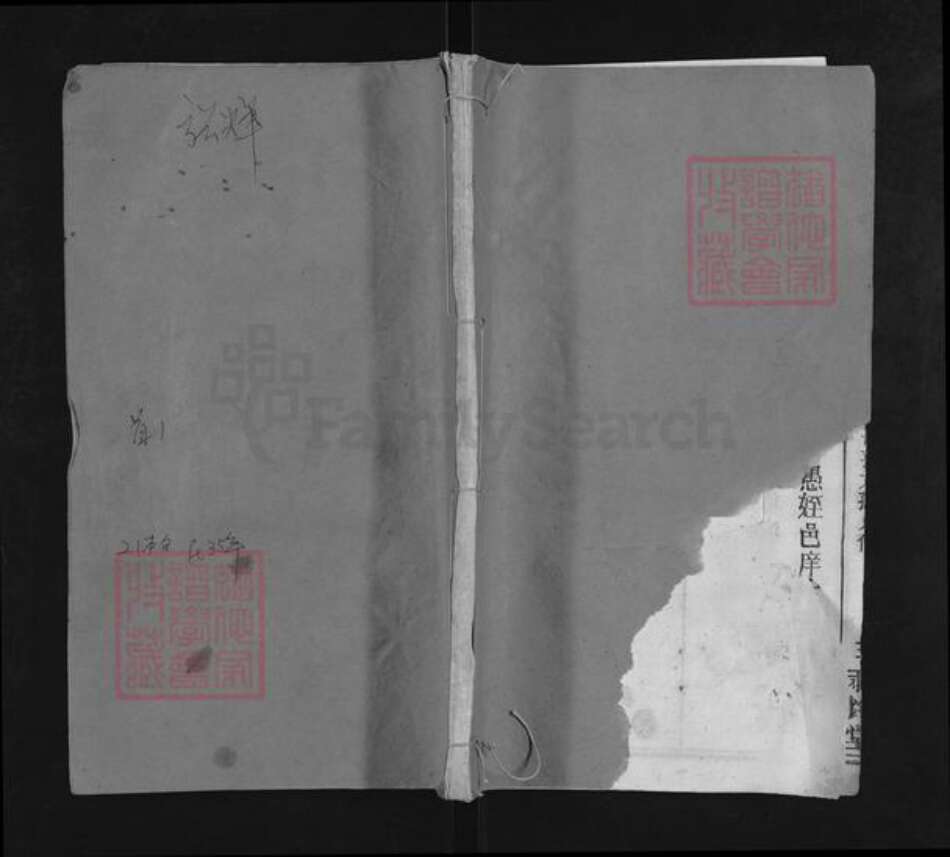 湖北省武汉市新洲区张氏两铭堂族谱-张氏宗谱.pdf电子版缩略图