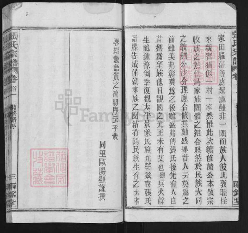 湖北省武汉市新洲区张氏两铭堂族谱-张氏宗谱.pdf电子版预览图3