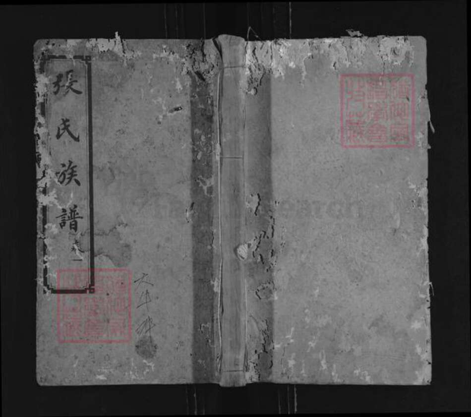 湖南省衡阳市耒阳市仁义镇张氏清河堂族谱-张氏族谱.pdf电子版缩略图