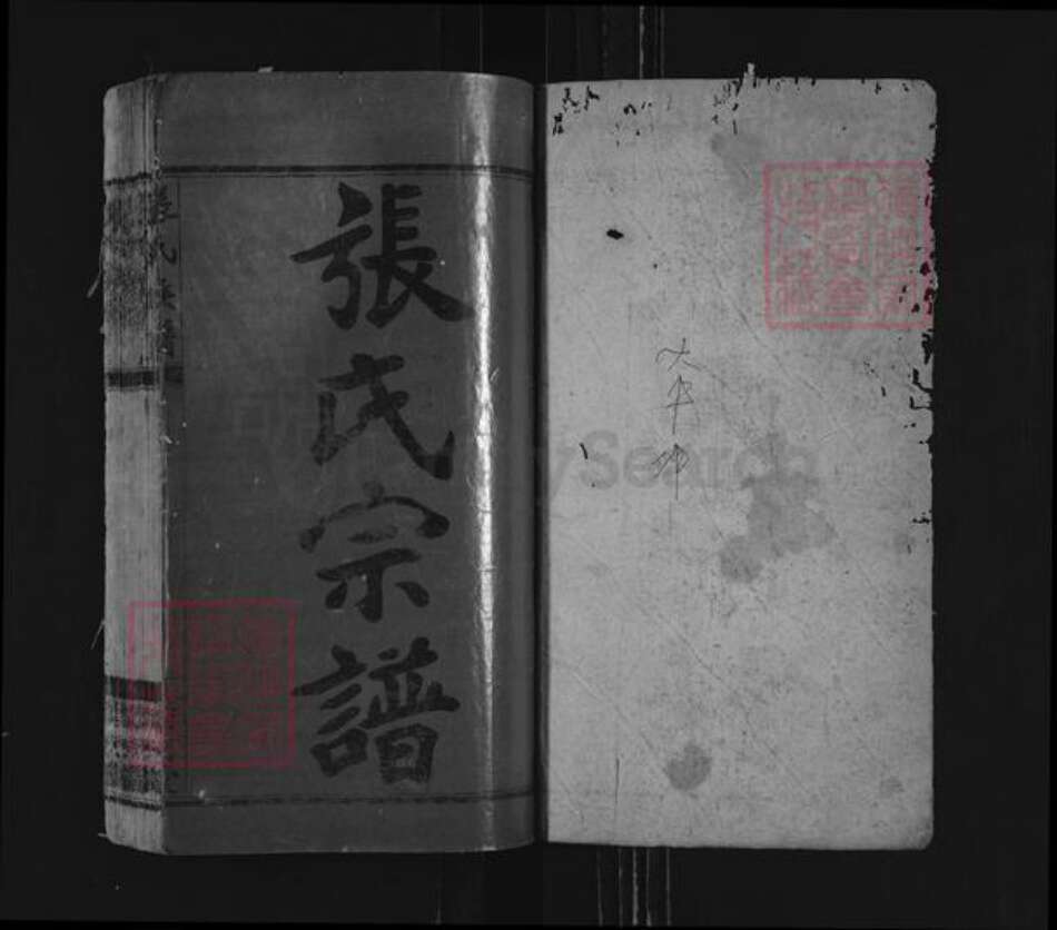 湖南省衡阳市耒阳市仁义镇张氏清河堂族谱-张氏族谱.pdf电子版预览图1