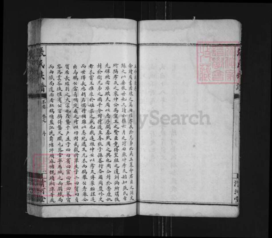 湖南省衡阳市耒阳市仁义镇张氏清河堂族谱-张氏族谱.pdf电子版预览图4