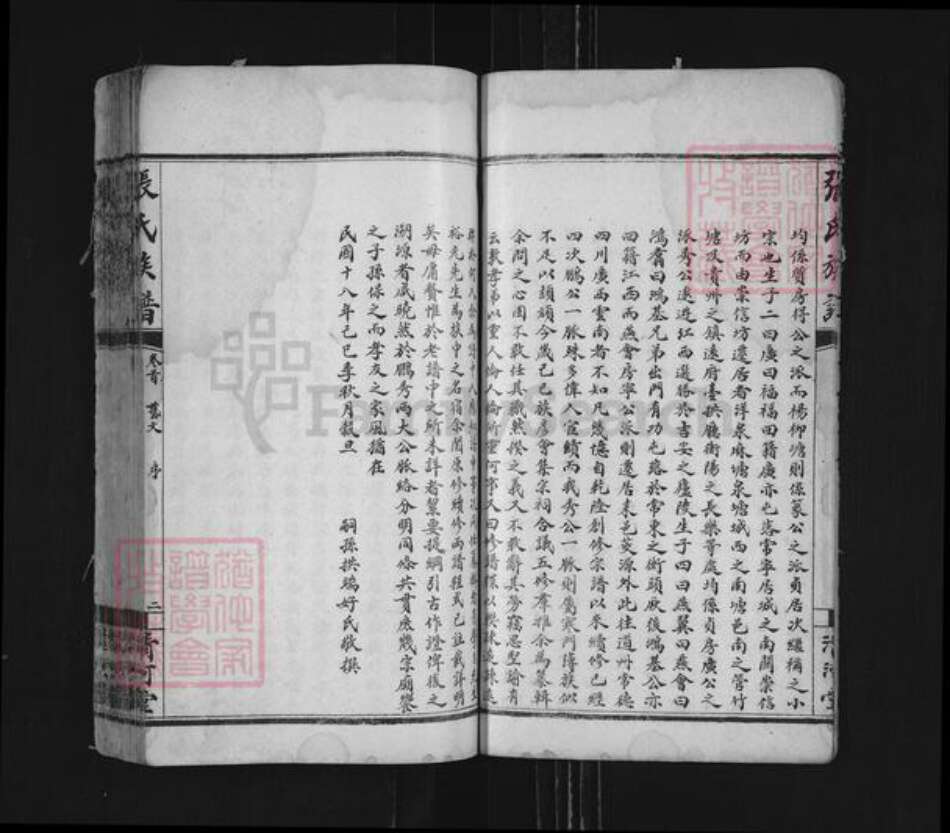 湖南省衡阳市耒阳市仁义镇张氏清河堂族谱-张氏族谱.pdf电子版预览图5