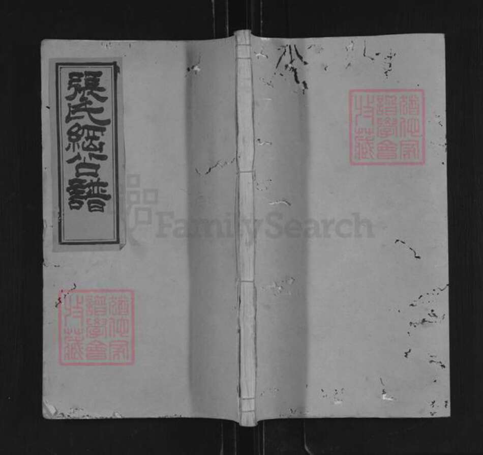 湖南省长沙市浏阳市沿溪镇张氏孝友堂族谱-张氏纲公枝谱.pdf电子版缩略图