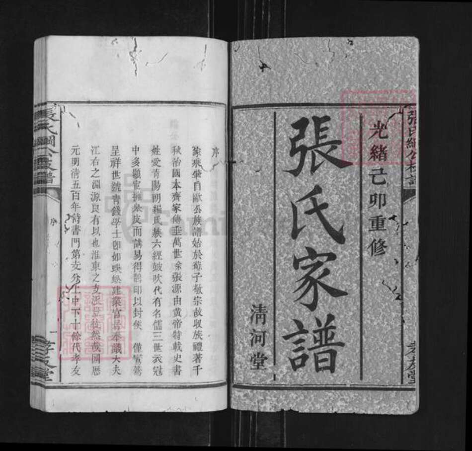 湖南省长沙市浏阳市沿溪镇张氏孝友堂族谱-张氏纲公枝谱.pdf电子版预览图1