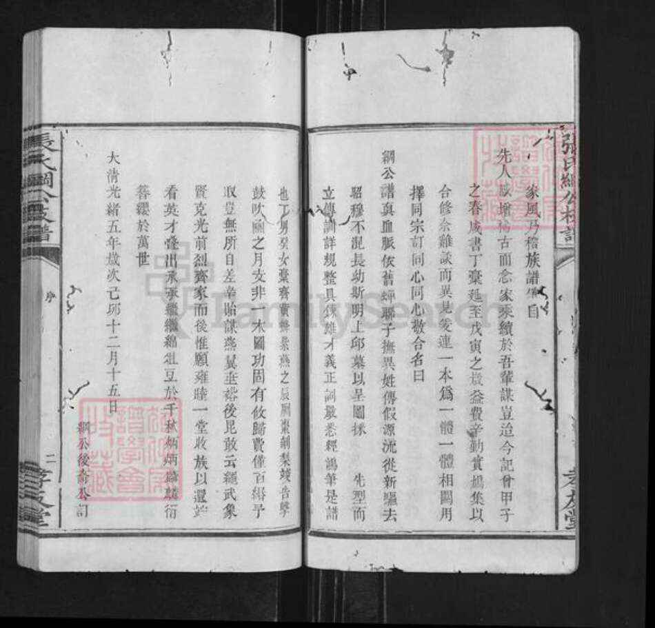 湖南省长沙市浏阳市沿溪镇张氏孝友堂族谱-张氏纲公枝谱.pdf电子版预览图2