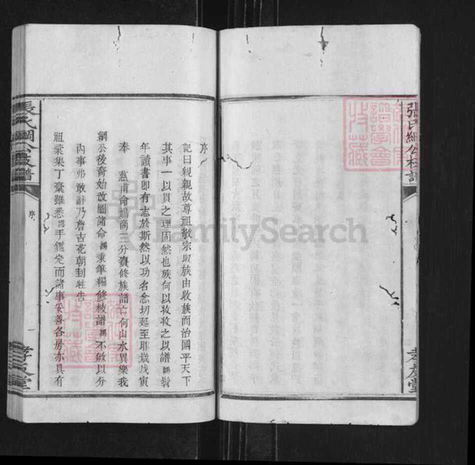 湖南省长沙市浏阳市沿溪镇张氏孝友堂族谱-张氏纲公枝谱.pdf电子版预览图3