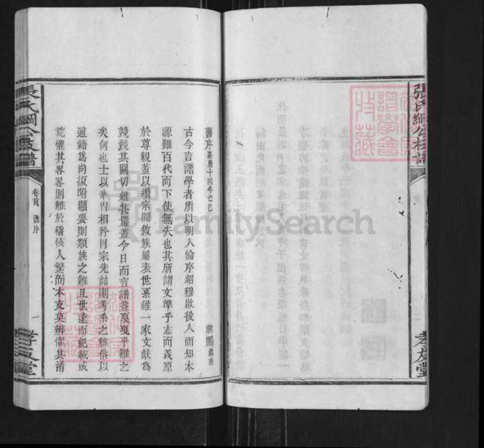 湖南省长沙市浏阳市沿溪镇张氏孝友堂族谱-张氏纲公枝谱.pdf电子版预览图5