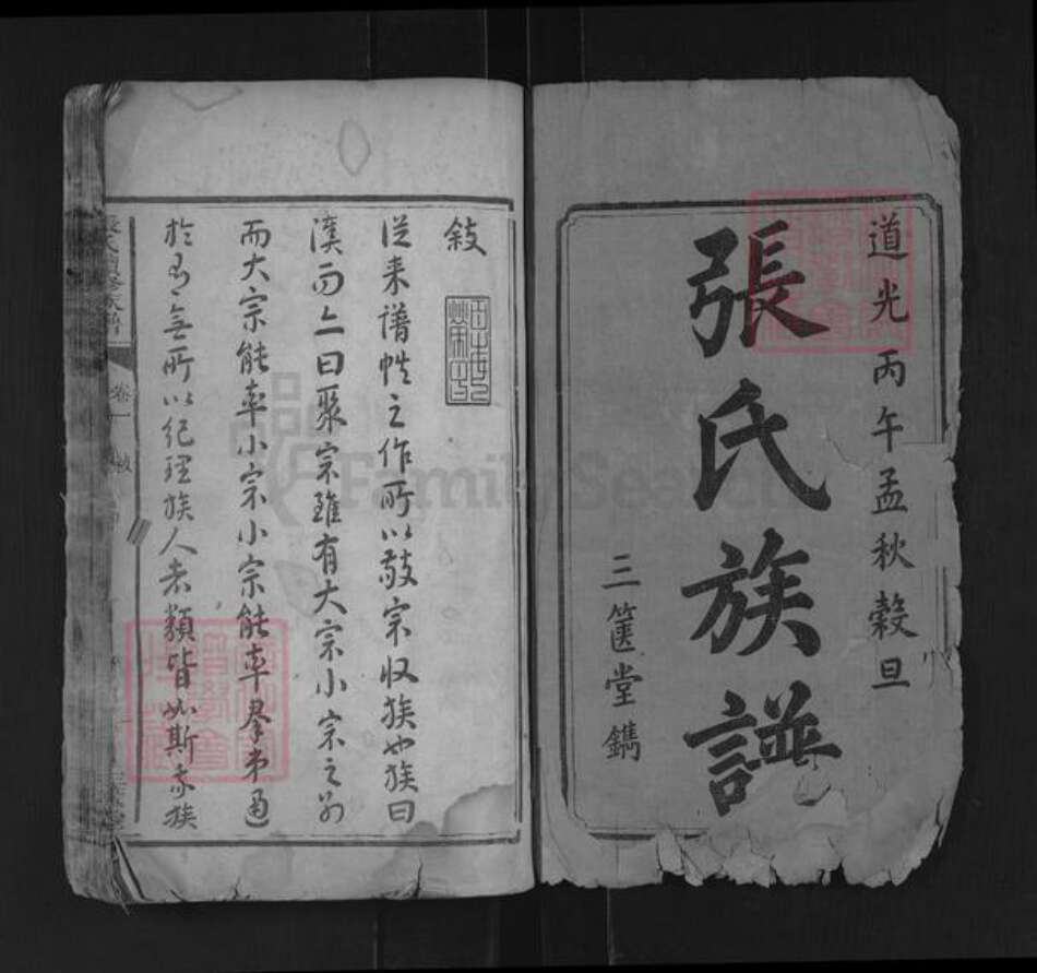 湖南省湘潭市湘潭县河口镇张氏三箧堂族谱-张氏续修族谱.pdf电子版预览图1