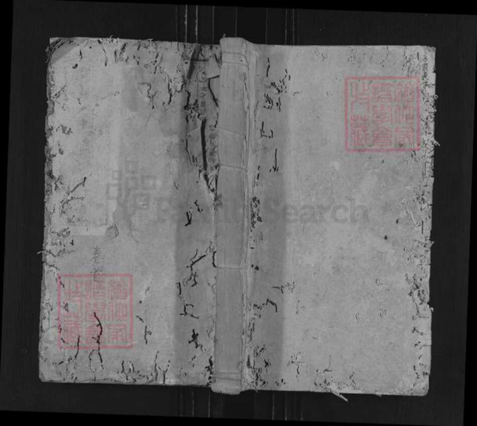 湖南省邵阳市新邵县潭府乡张氏两铭堂族谱-张氏仁公房谱.pdf电子版缩略图