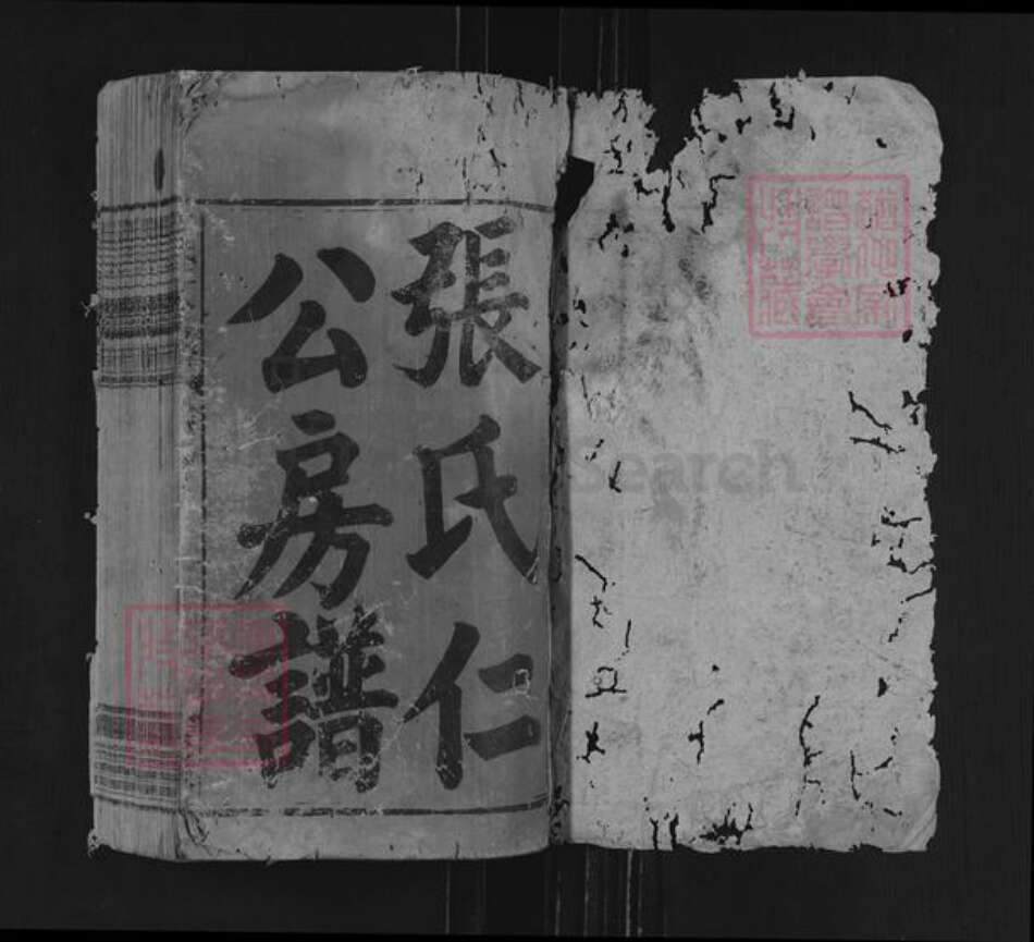 湖南省邵阳市新邵县潭府乡张氏两铭堂族谱-张氏仁公房谱.pdf电子版预览图1