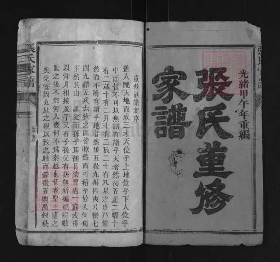 福建省三明市宁化县张氏族谱-清河郡张氏家谱.pdf电子版预览图1