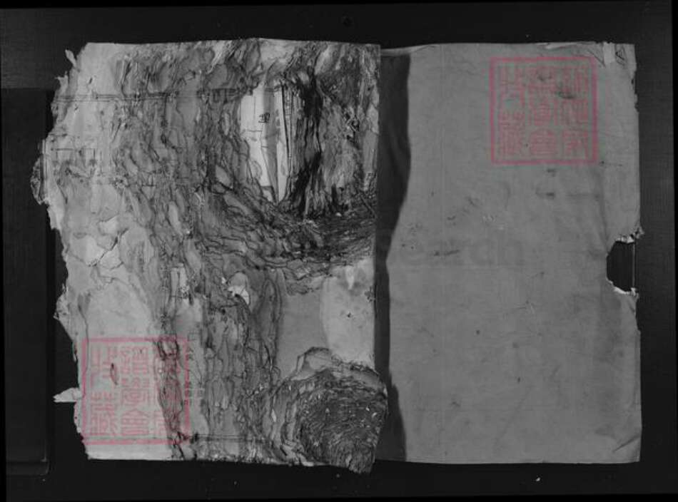 福建省三明市宁化县张氏族谱-清河郡张氏族谱.pdf电子版缩略图